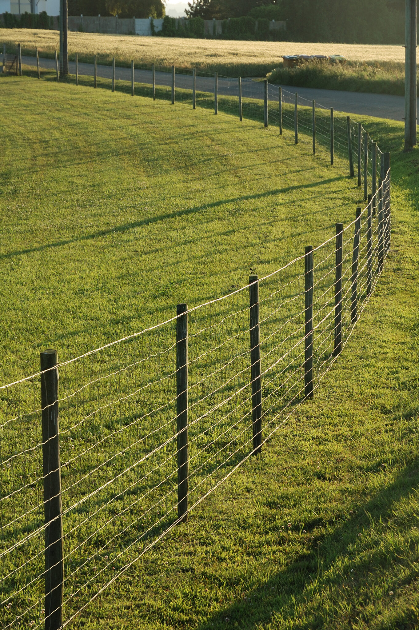 fence in a meadow