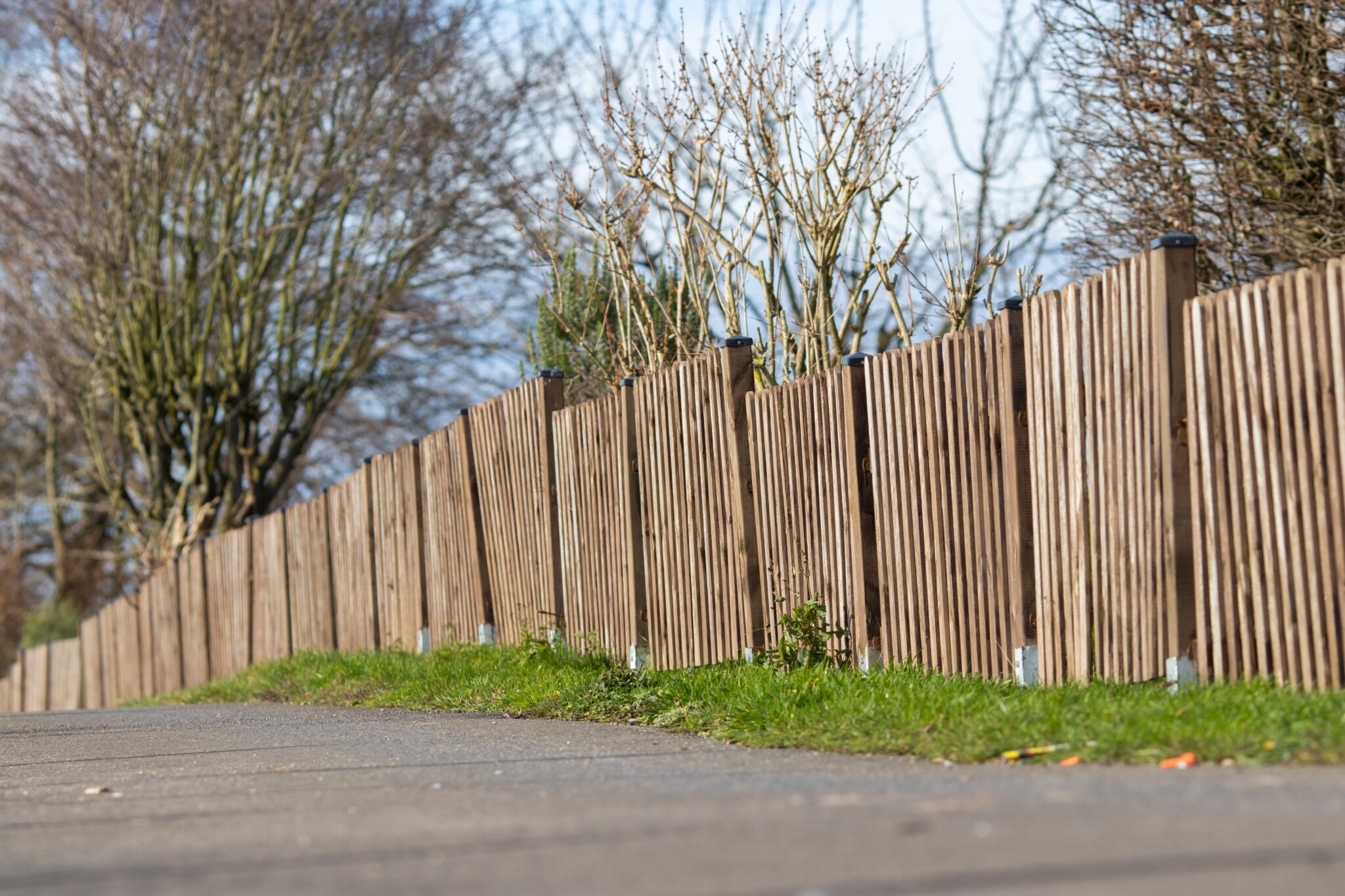 landscape shot of a brown wooden fence of a mini forest with a clear blue sky