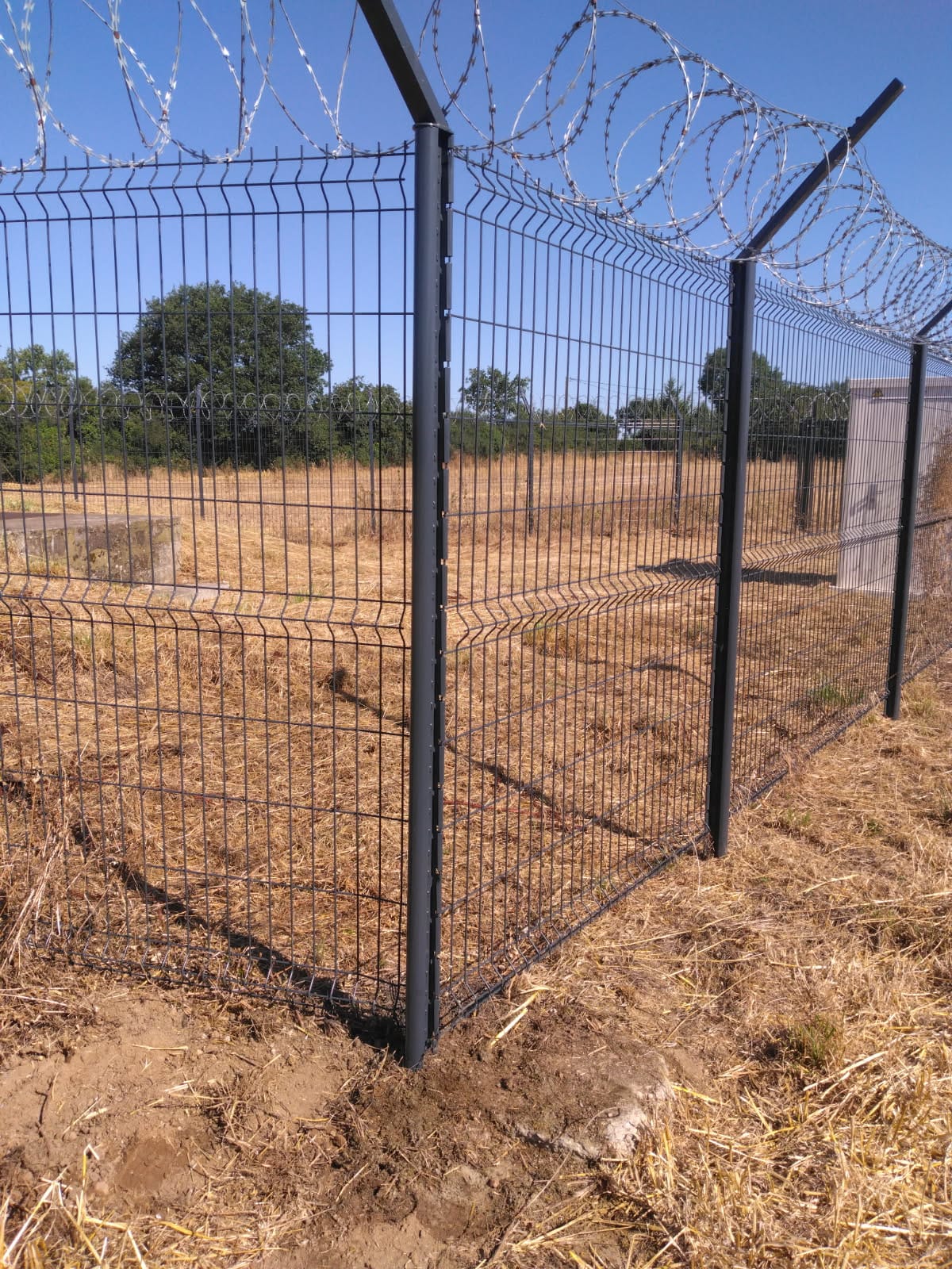 whatsapp image 2025 10 08 at 12.19.55 (3)